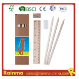 eco stationery for school and office supply